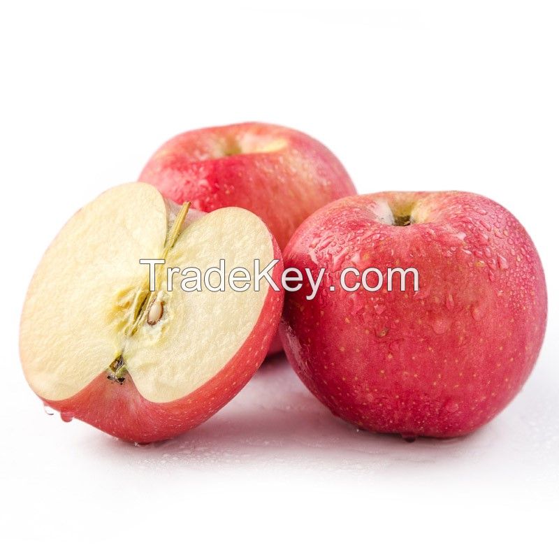 Fresh Fruit  gala apple