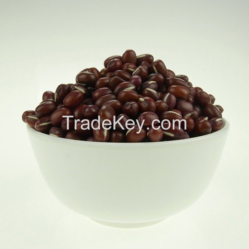 Professional manufacture 4.5-6.0mm Adzuki bean small, red bean, vigna bean
