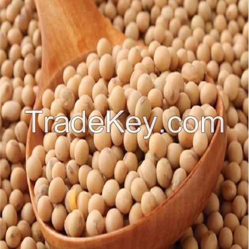 Soybean/Soya Bean, Soybean Seeds, Soya Bean Seeds for sale