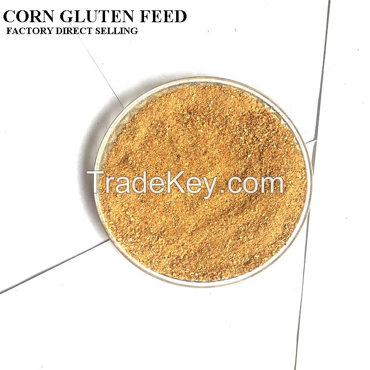 High Quality Corn Meal Gluten 60%