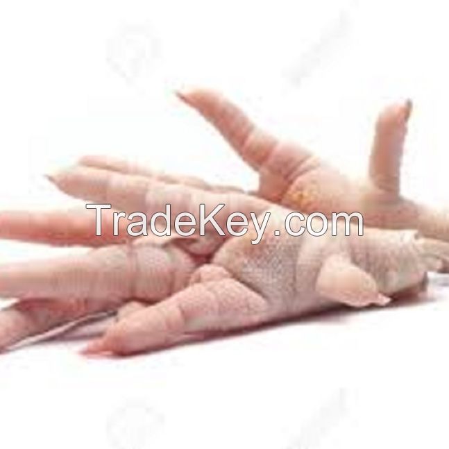 Bulk South Africa Frozen Chicken Feet / Chicken Paws