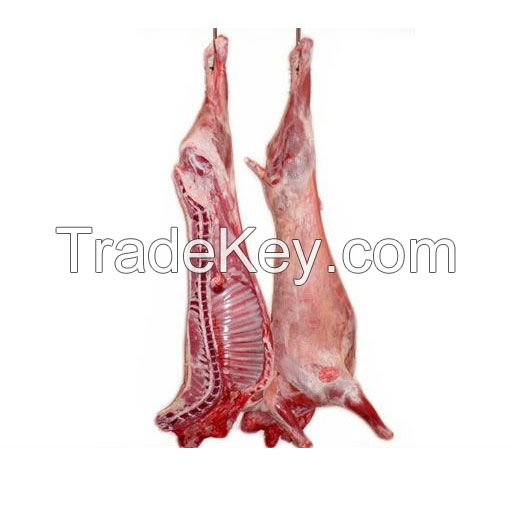 Halal Fresh Frozen Lamb Meat/ Halal Mutton