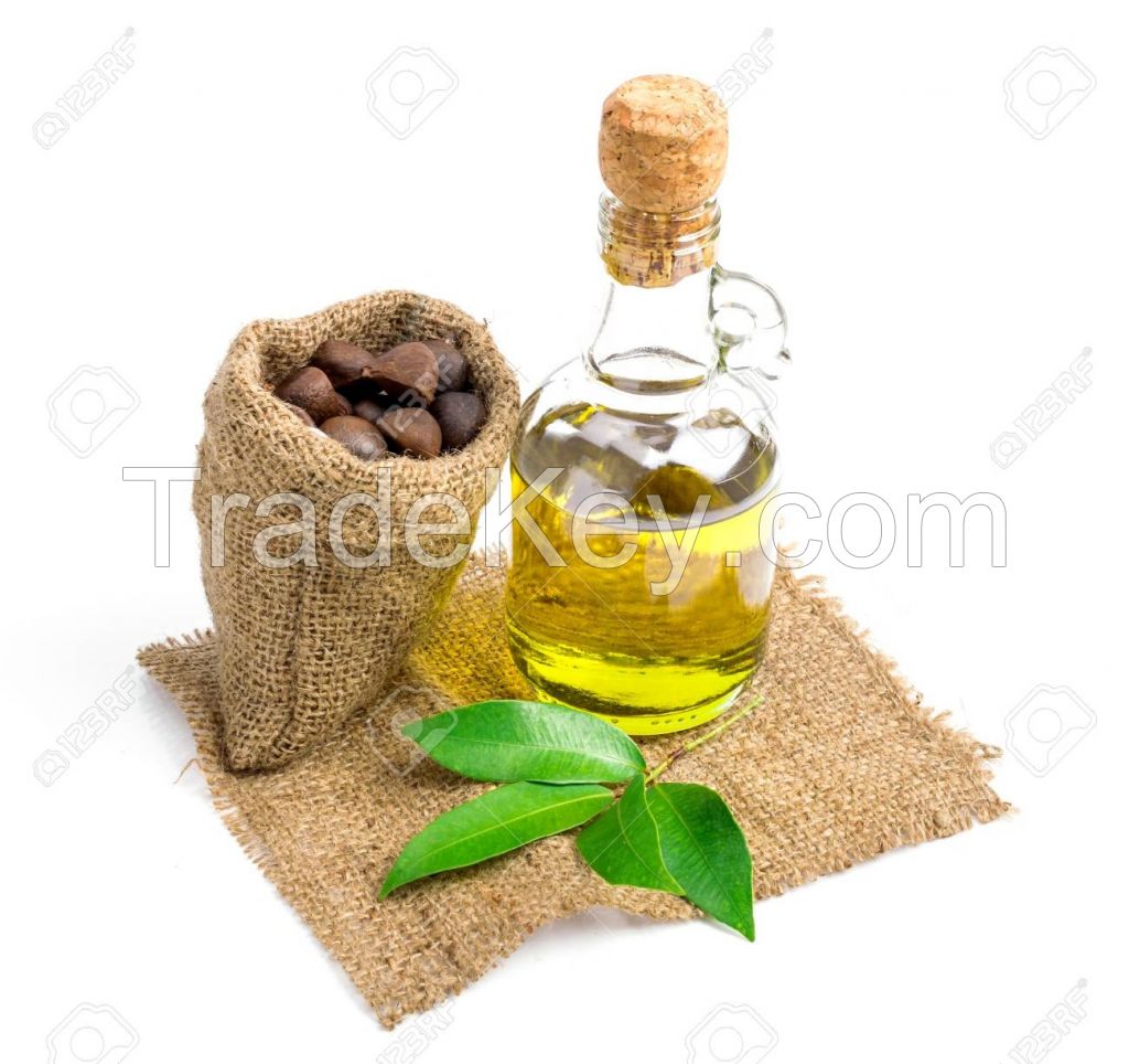 Cold Press Camellia Oleifera Seed Oil For Cooking Oil / Skin Care