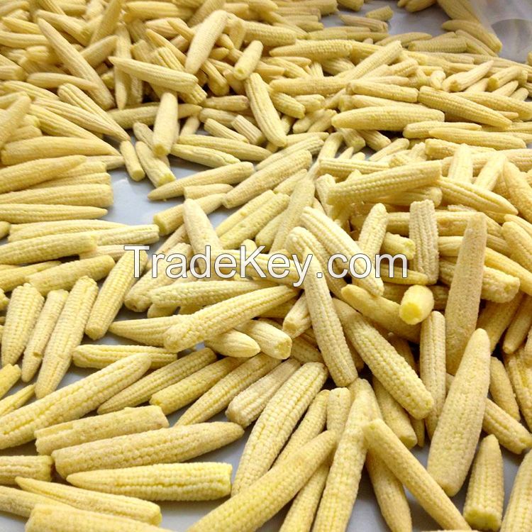 High quality Frozen Sweet Corn Kernels