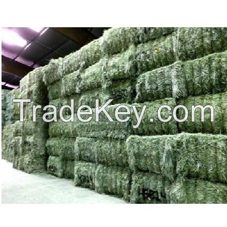 Mixed hay / Timothy hay / Alfalfa Hay