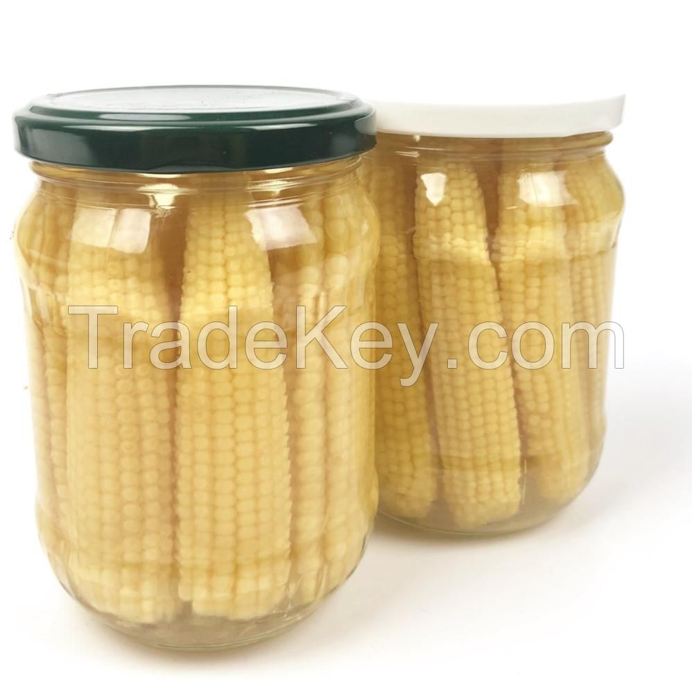 Canned Sweet Young Corn Cut /Sweet Corn Kernels
