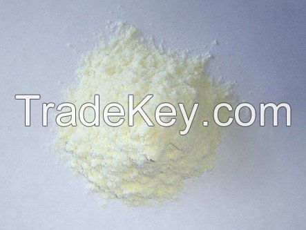 Whey Protein Hydrolysate Powder