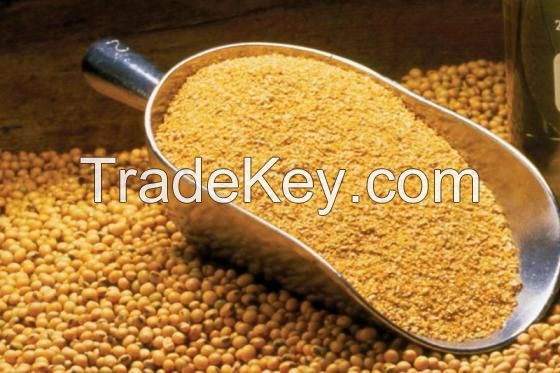 Soybean Meal / Soya Bean Meal