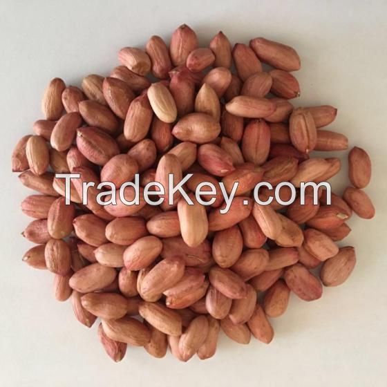 Good Quality Raw Peanuts, Pea Nut, Roasted, Raw Ground Nuts/Red Skin Peanuts/Castor Seeds, Chick Peas, Coffee Bean, Pine Nuts, 