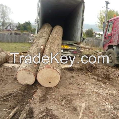 Cheap Kosso/ Doussie / Sapelli / Tali / Teak / Pachyloba Wood Logs - Hight Quality And Best Wood Logs