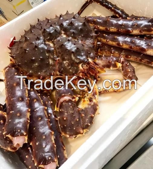 Live Red King Crab