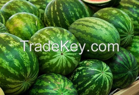 Water Melon Fresh Water Melon/Fresh Melons/ Fresh Watermelon for Sale