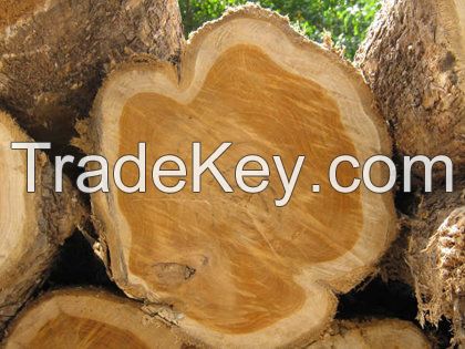 Wood, Timber
