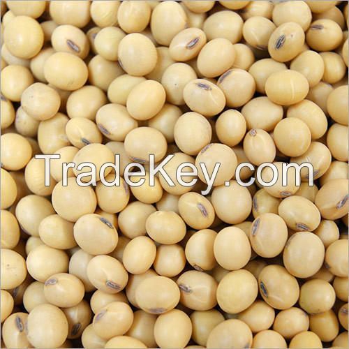 Certified Soybeans +Non gmo yellow soybean + Organic soya bean seed