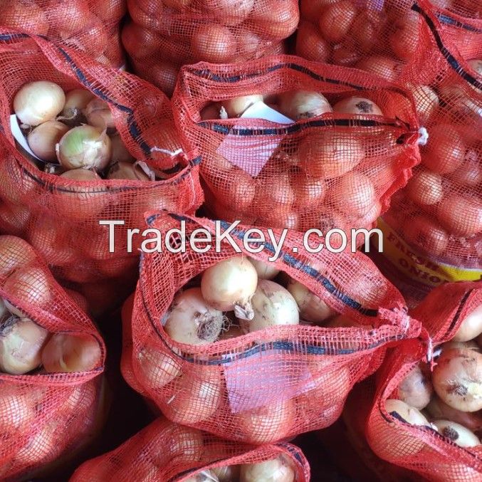 Wholesale Fresh Onion For Sale Fresh Onion Export To Abidjan Export Fresh Onion