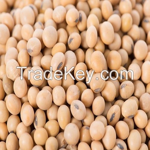 2020 New Crop Yellow Soybeans Wholesale Price High Quality