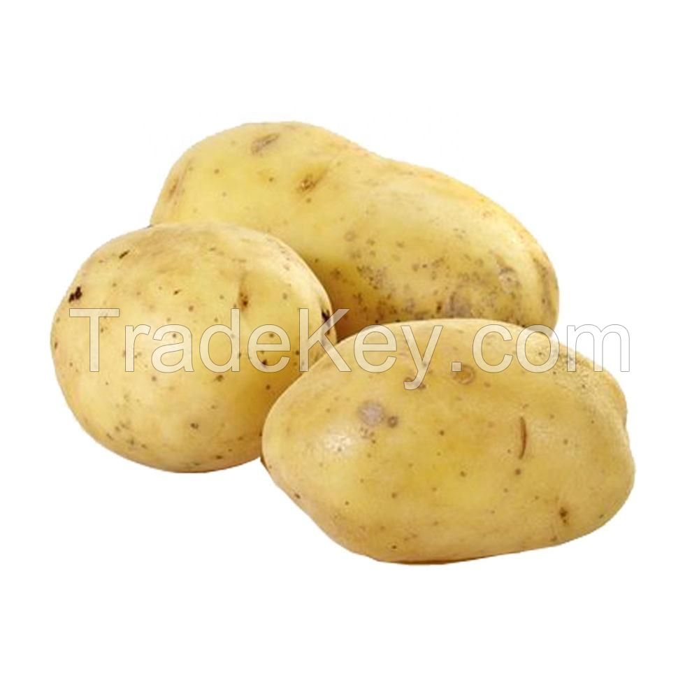 fresh potato price per ton