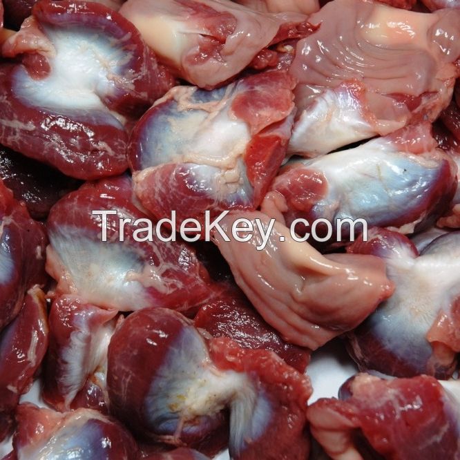 Best Quality Halal Frozen Chicken Gizzards For Sale