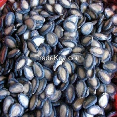 Melon/Watermelon Seeds ( White, Black, Red ) For Sale