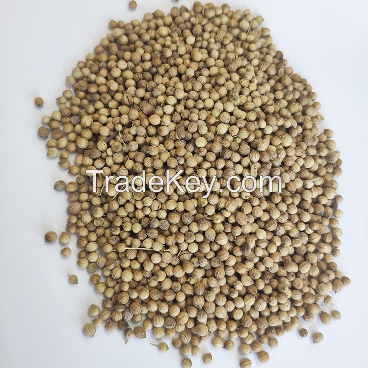 Coriander Seeds for sale