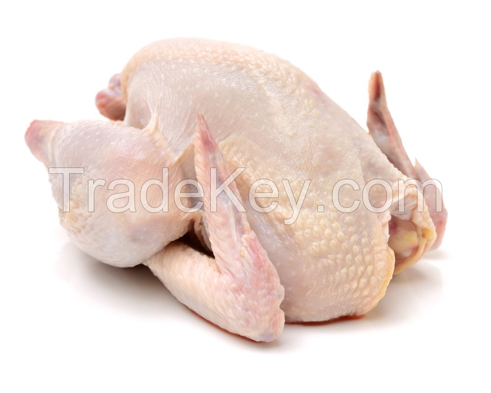 HALAL FROZEN WHOLE CHICKEN