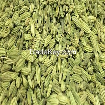 FENNEL SEEDS for sale