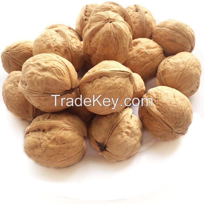 Walnuts inshell for sale