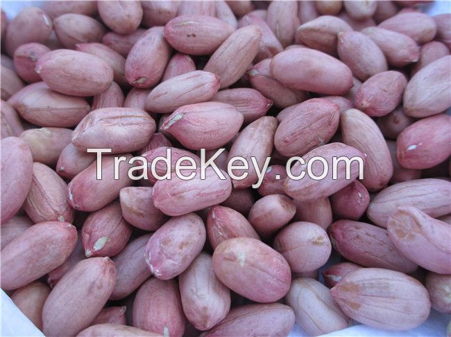 Peanut Dried Kernel Groundnut.