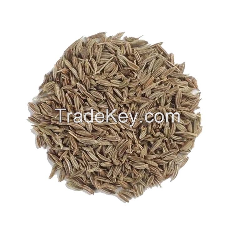 Cumin Seeds with Good Price