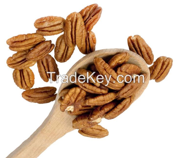 Pecan Nuts for Sale