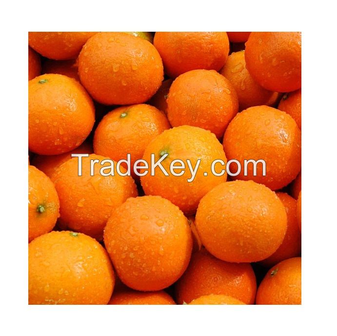 Fresh Mandarin for sale