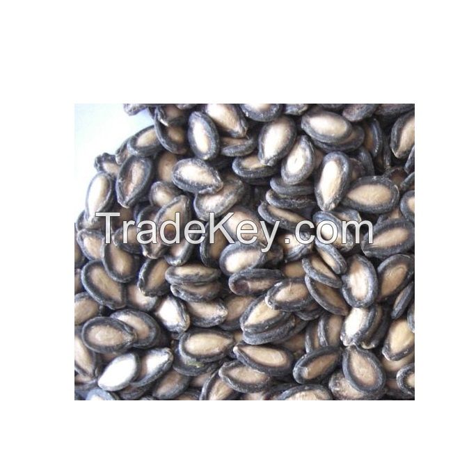 Black Watermelon Seeds for sale