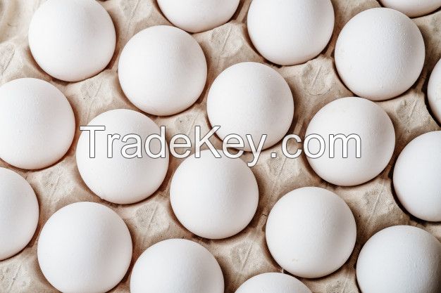 Quality White Table Eggs