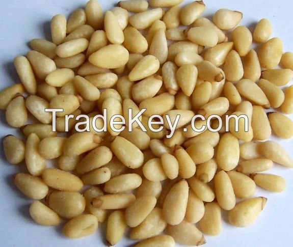 Pine nuts for sale