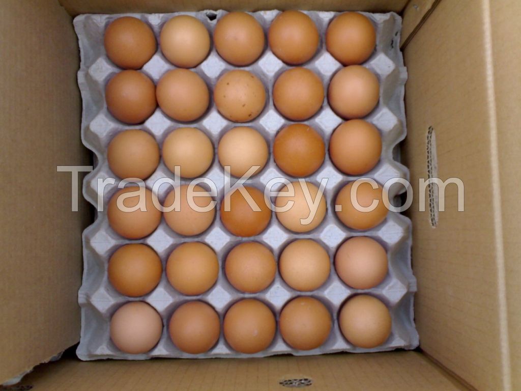 FRESH CHICKEN TABLE EGGS FOR EXPORT