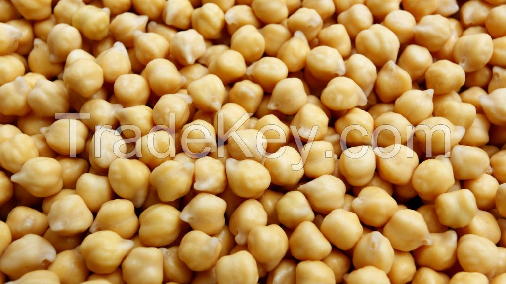 Best Grade Taste Healthy and Tasty Chickpeas for sale