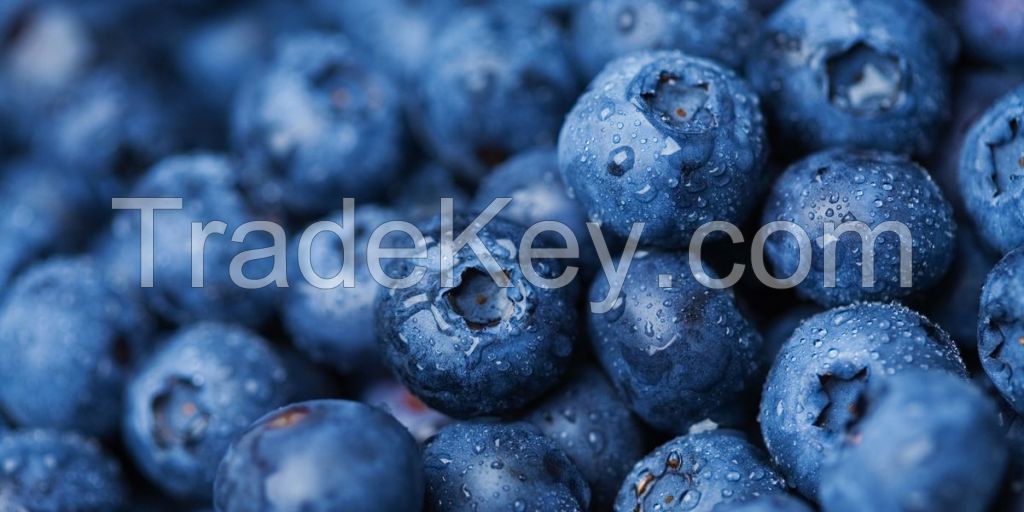 Blueberries