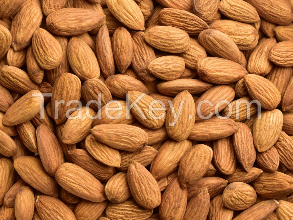 High quality raw almonds