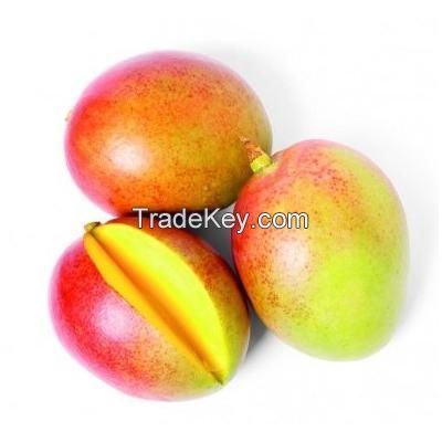 Mango Fresh Fruits
