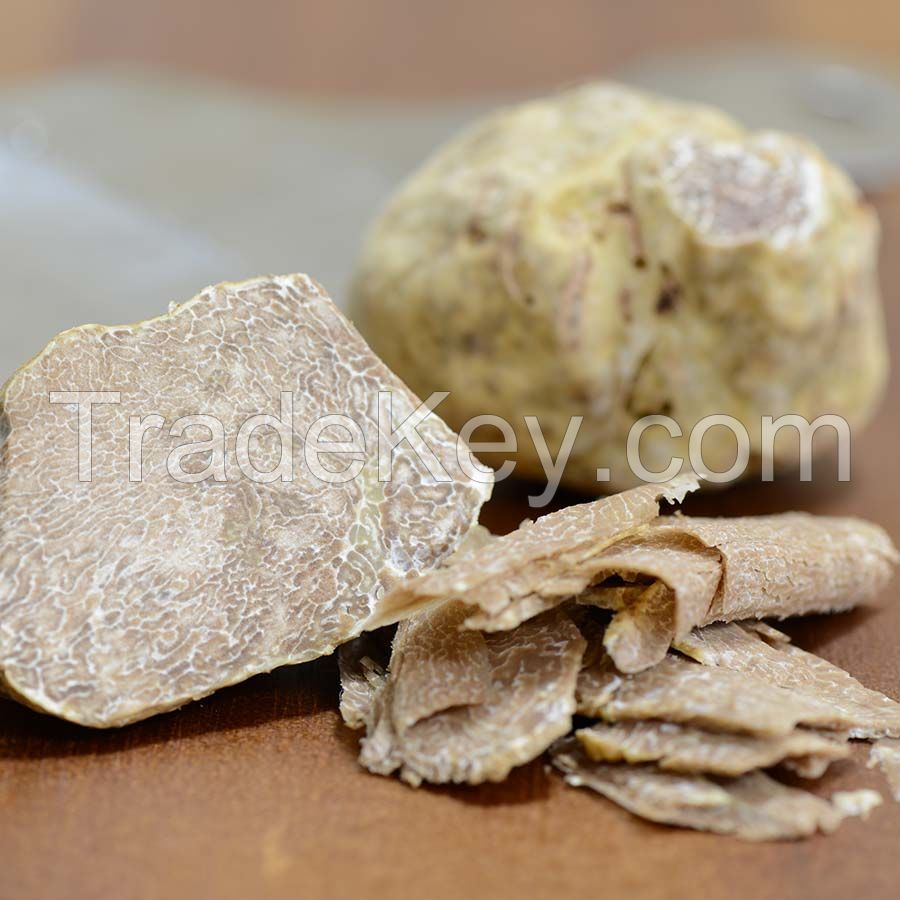 fresh white truffles