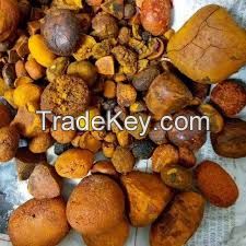 Cow Ox Gallstone