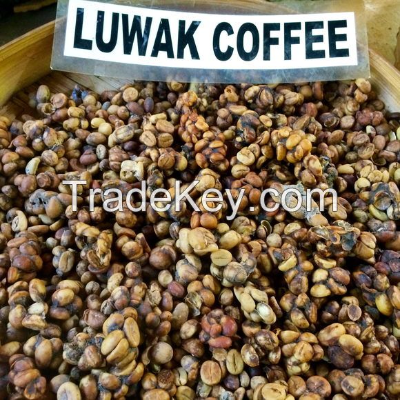 kopi luwak coffee