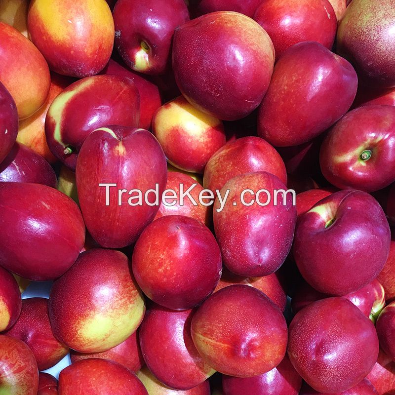 Fresh Red Peaches Fruits for sale