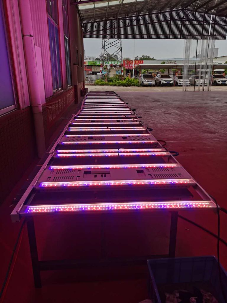 LED plant growth light