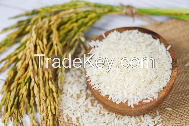 Raw jasmine rice grain