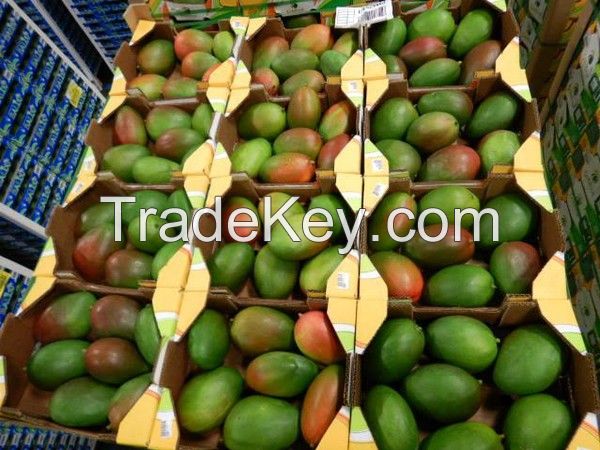 Fresh Mangoes