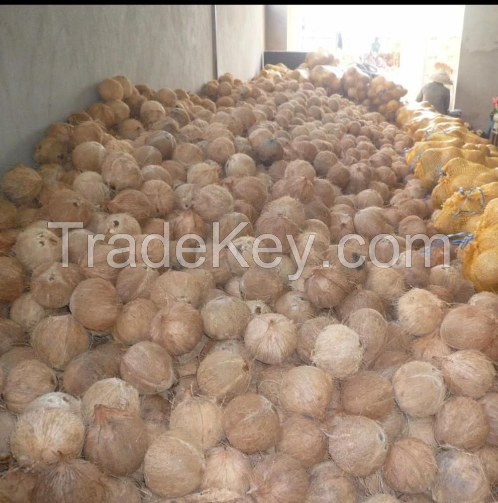 Fresh Coconuts