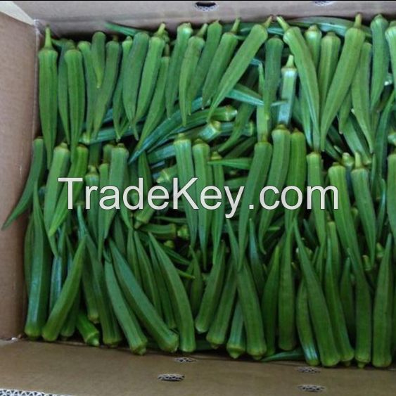 Fresh Okra