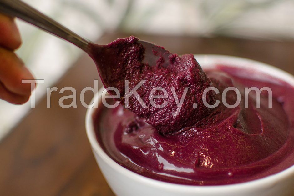 Acai pulp from Brazil-Natural