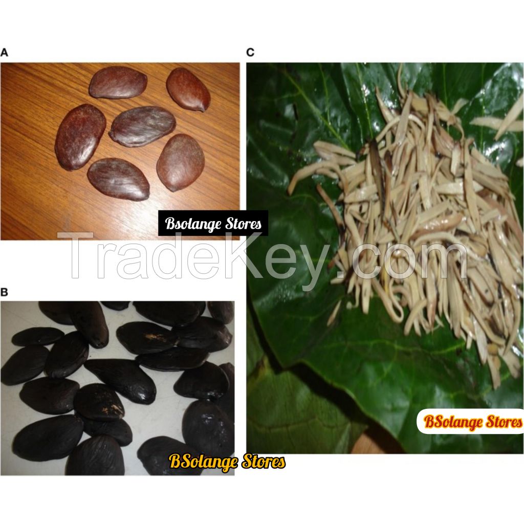 AFRICAN OIL BEAN SEED